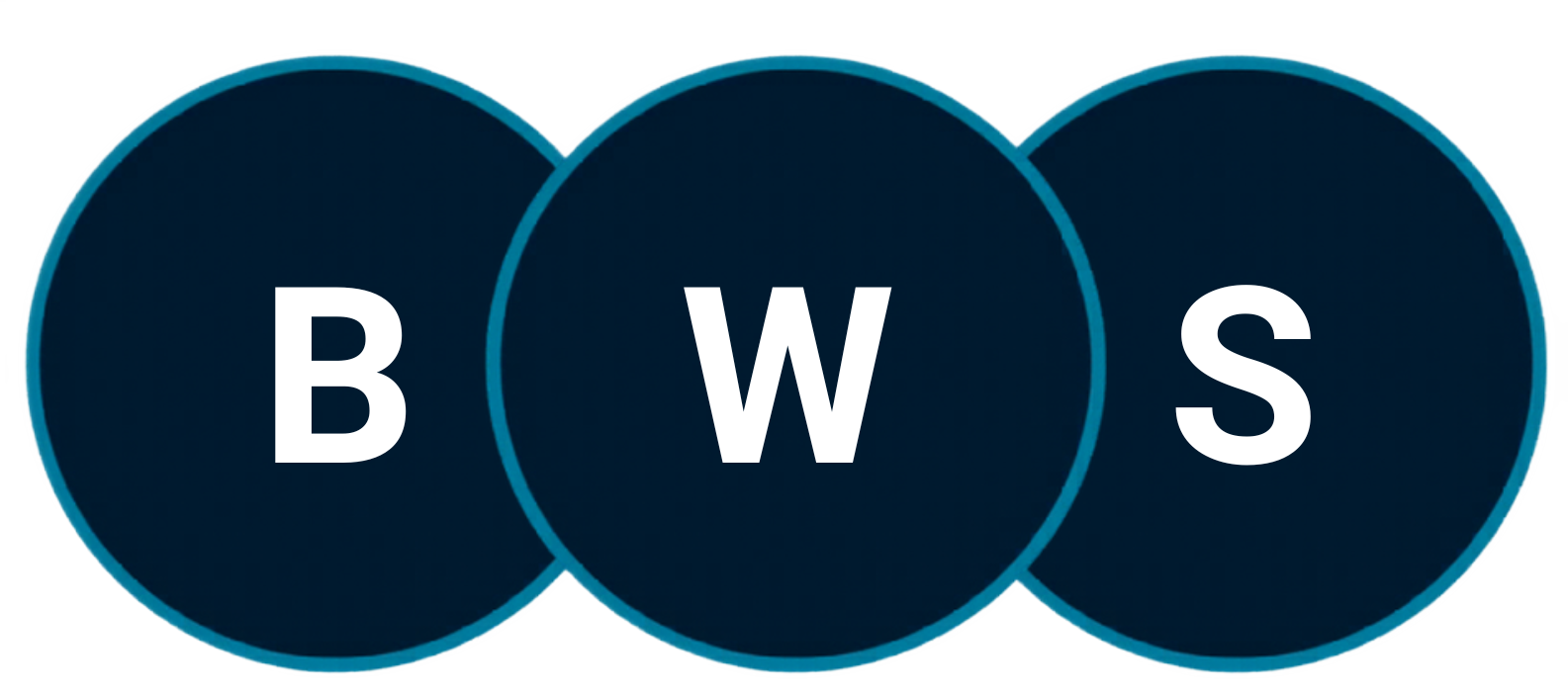 BusinessWeb Studio Logo